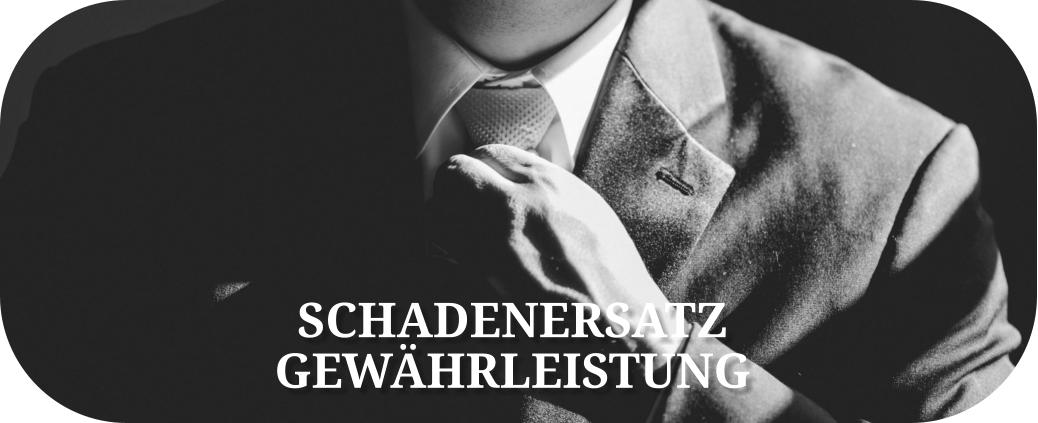 SCHADENERSATZ GEWHRLEISTUNG