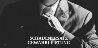 SCHADENERSATZ GEWHRLEISTUNG